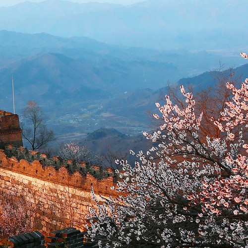 Mutianyu Great Wall by Cable Car